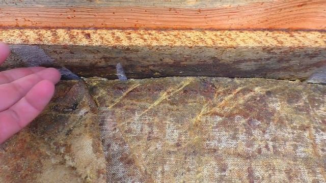 Наглядный пример когда у пчёл нет корма. Куда смотреть и как понять что пора кормить пчел зимой? смотреть онлайн