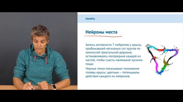 4.3. В поисках энграммы смотреть онлайн