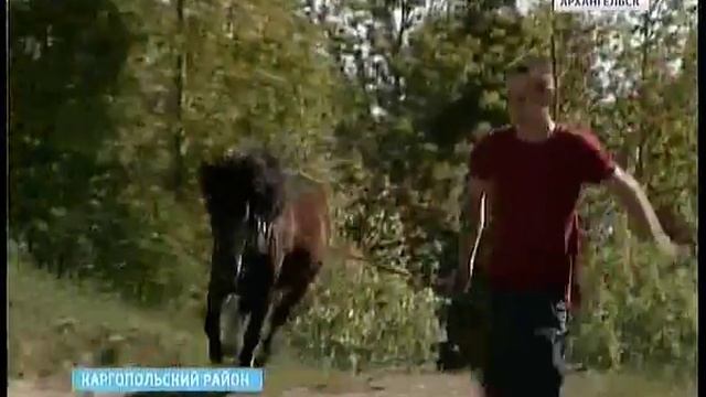В каргопольской глубинке - новая достопримечательность смотреть онлайн