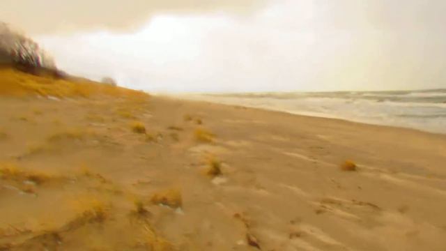 Заблудились зимой на Куршской косе! смотреть онлайн