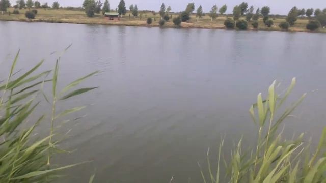 Рыбалка ставрополь(1) смотреть онлайн