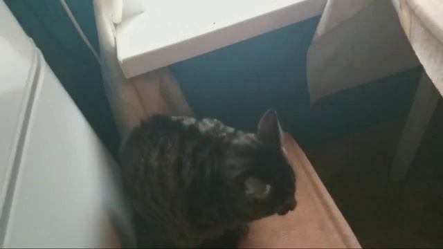 Филька и соковыжималка...?... смотреть онлайн
