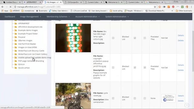 AFFIRMFIRST live demo - Online Image Control, Protection, Validation смотреть онлайн