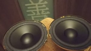 Динамики Technics EAS17PL06E