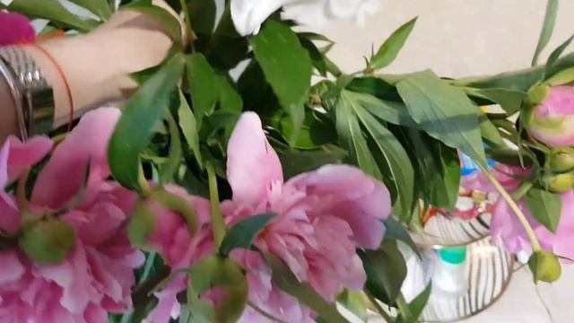 ТОПОЛИНЫЙ ПУХ??/ ПИОНЫ ЗА 15 ₽?/ СЕМЬЯ ИЗ САМАРЫ смотреть онлайн