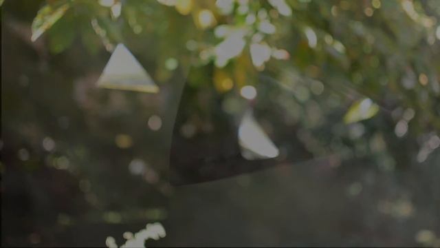 Truth Within - White Sun - Chattra Chakkra Varti смотреть онлайн