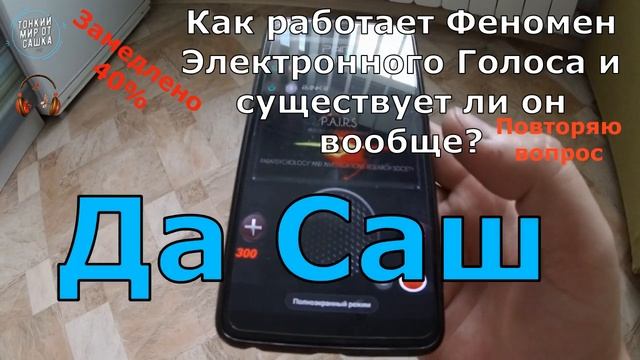 ПРИЗРАК ОТВЕТИЛ! Феномен Электронного Голоса существует? Тонкий Мир. ЭГФ | ФЭГ | EVP смотреть онлайн