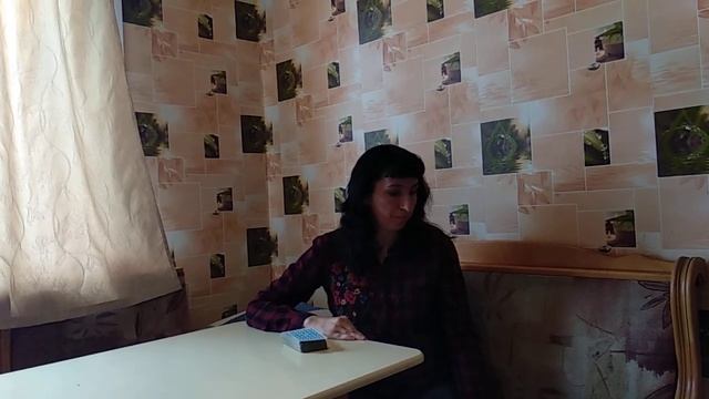 Даша Зорина. Старшие арканы Шут и Колесо фортуны смотреть онлайн