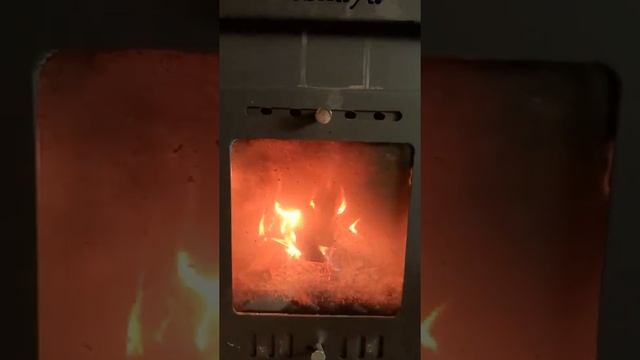 Печь ASTON Лесная в проекте "Лесные". Так горят дрова в лесной печи смотреть онлайн