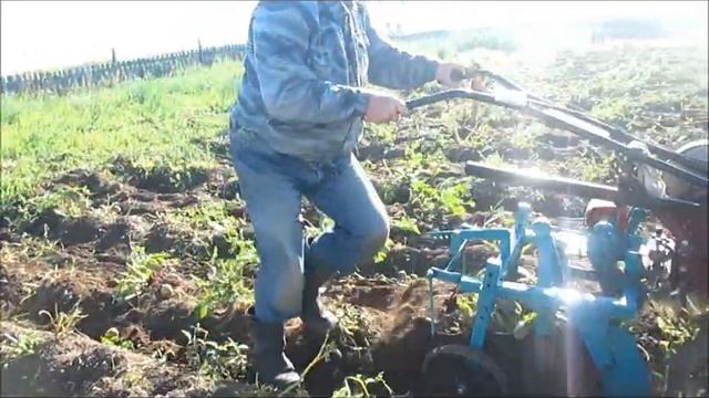 Осень Пора собирать урожай смотреть онлайн