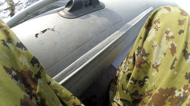 Окунь в жару смотреть онлайн