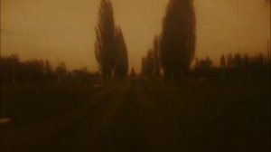 ОЙ ВЫ, ГУСИ, ВЫ СЕРЫЕ ГУСИ