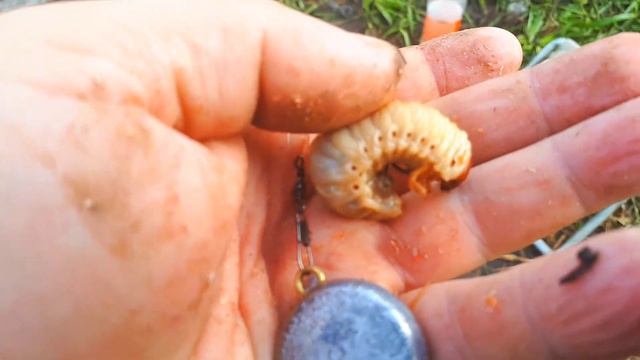 Рыбалка с женой смотреть онлайн