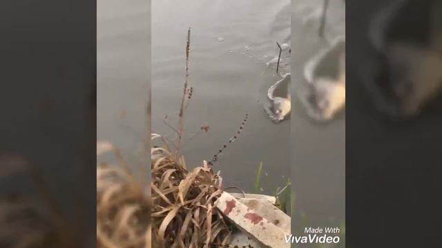 Рыбалка в Польше. Люблин смотреть онлайн