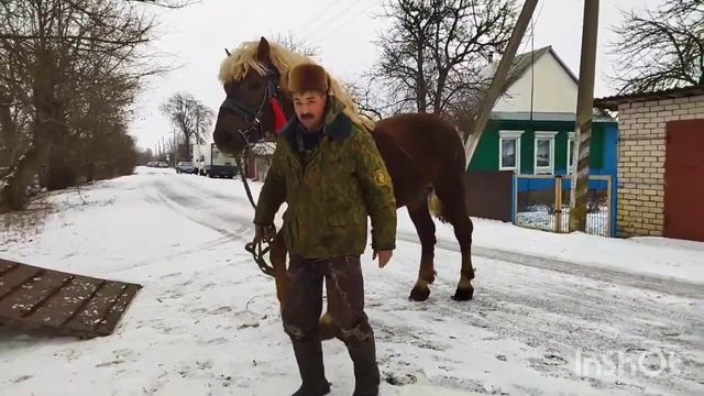 РАЗГРУЗКА ЖЕРЕБЦА/ ПРИВЕЗЛИ ДОМОЙ смотреть онлайн