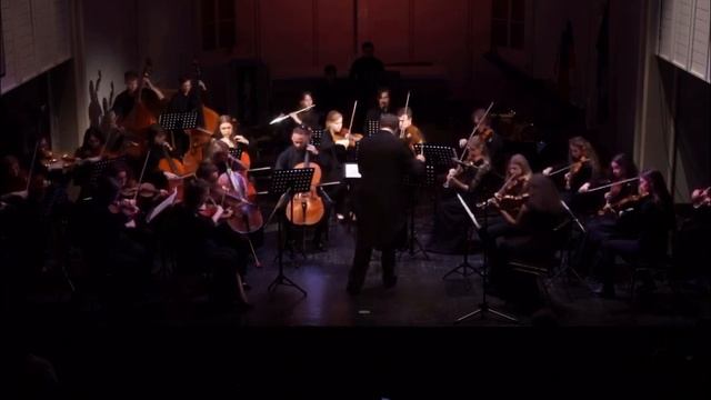 Г. Визнер - "Метаморфозы гор", сюита в 4х частях для камерного оркестра. смотреть онлайн