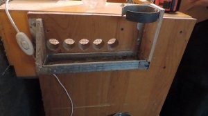 Брудер для перепелов в подробностях