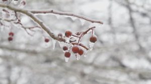 А снег идет.