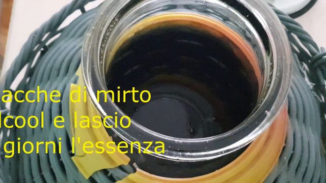 Liquore di Mirto смотреть онлайн