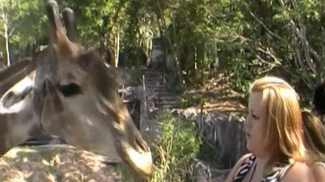 Зоопарк в Таиланде.(племянница Эля на отдыхе) смотреть онлайн