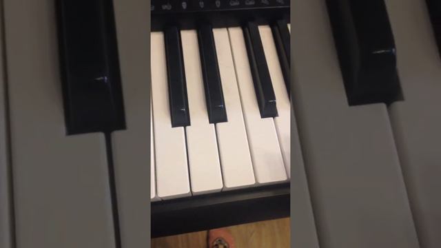 Песня Sally face на пеонино смотреть онлайн