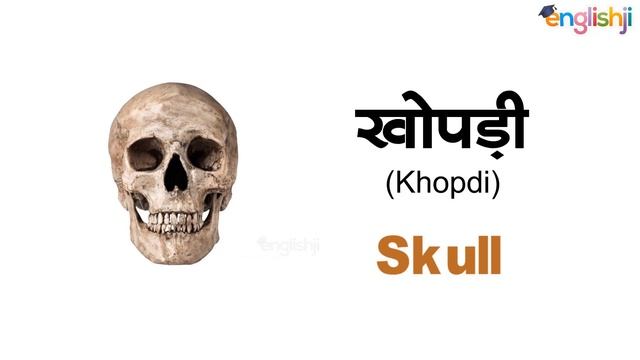 Face parts name in english & hindi with pictures | Parts of face vocabulary смотреть онлайн