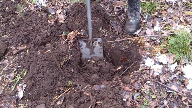 Поиск монет металлоискателем Минелаб X terra 705 смотреть онлайн