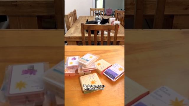 Kitty Soap Opera: Chapter 10... смотреть онлайн