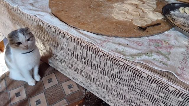 ВЧЕРА ДЕЛАЛИ КУРЗЕ С ЗЕЛЕНЬЮ ??☘️? смотреть онлайн