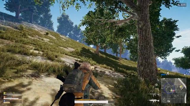 He's at that Tree, Chicken Dinner смотреть онлайн