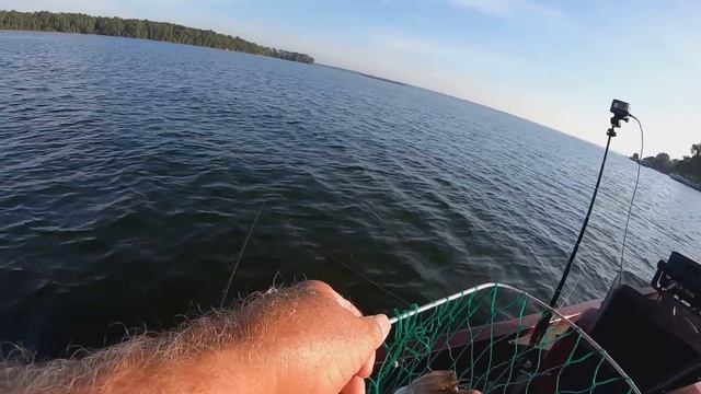 Highlights, Striper On Flutter Spoon & Crappie On Gulp Sandworm смотреть онлайн