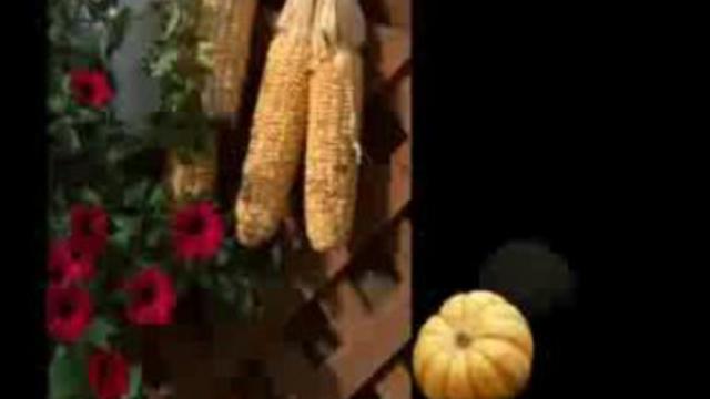 Укрытие хвойников - Служба спасения сада смотреть онлайн