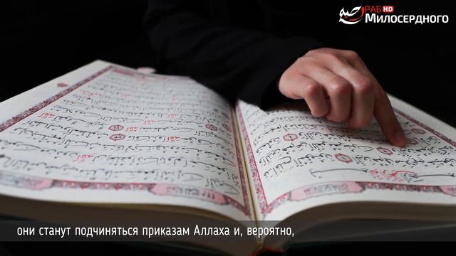 Человека не оставляет в покое вопрос “Зачем?”. 1 часть смотреть онлайн