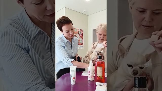 Розыгрыш Лотереи смотреть онлайн