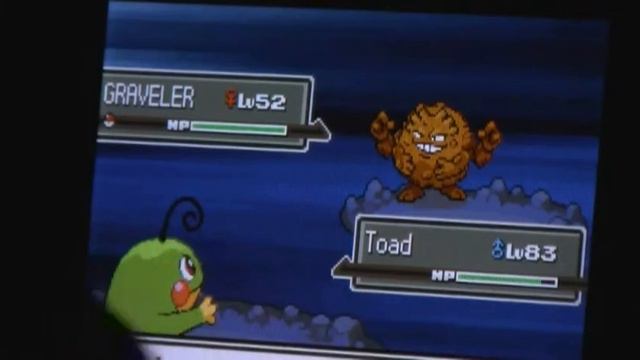 [WSHC] LIVE!! 3rd Shiny Graveler on Platinum!! смотреть онлайн