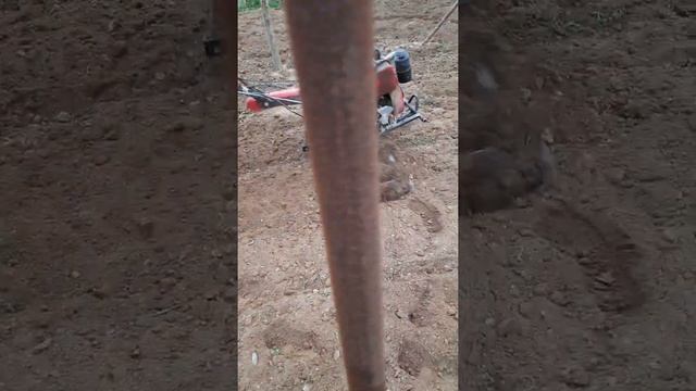 агро техника в Узбекистан смотреть онлайн