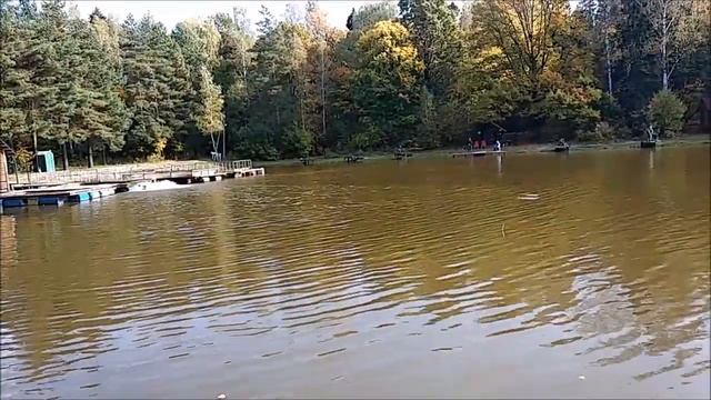 Карп ловится в октябре! Поимки на верхнем в клёвом месте лосиный остров. смотреть онлайн
