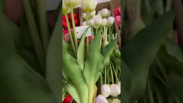 тюльпаны...89288853653 смотреть онлайн