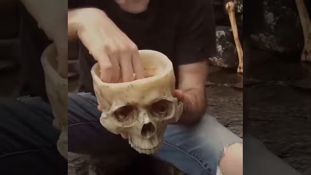 Human Skull Bowl смотреть онлайн