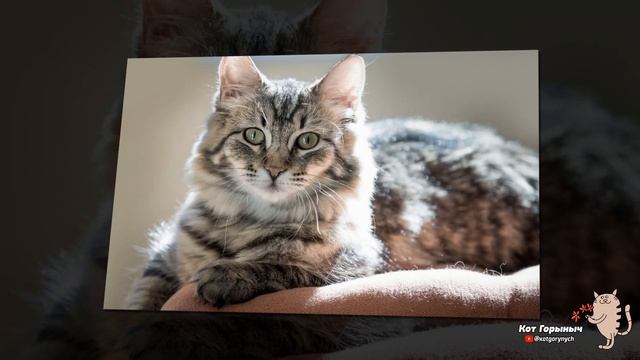 Отношение смотреть онлайн