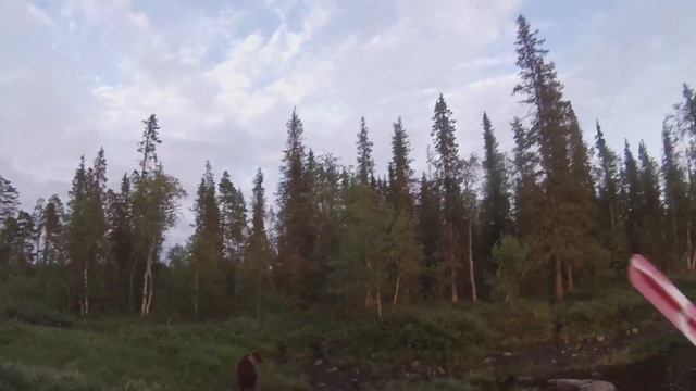 Сплав по реке Умба смотреть онлайн