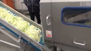 Станок для шинковки (нарезки) капусты