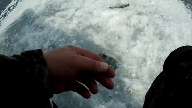 как поймать подлещика и пелядь смотреть онлайн