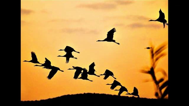 В гости к осени (ур.8) смотреть онлайн