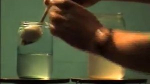 ПЛАВАНИЕ ТЕЛ.ФИЗИКА.ХРОНИКА СССР