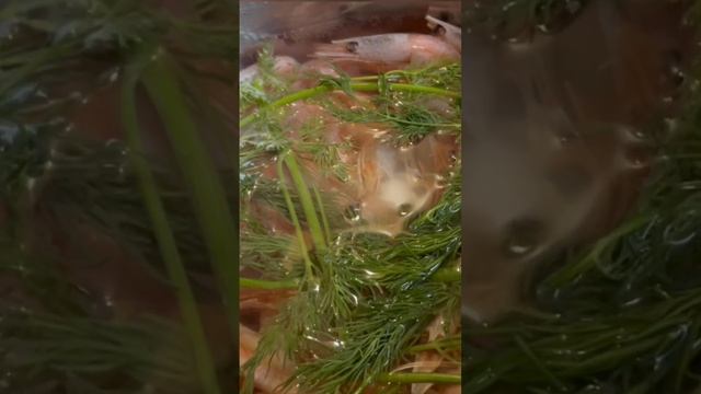 Как варить креветки #креветки #какготовить #рецепт смотреть онлайн