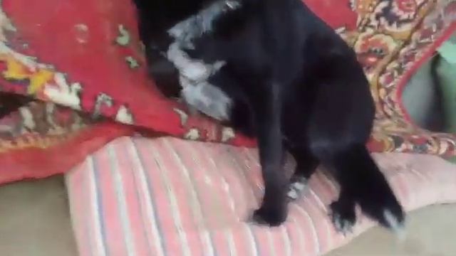 Эрика шашла свой дом смотреть онлайн