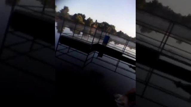 Bass Pro Fishing(2) смотреть онлайн