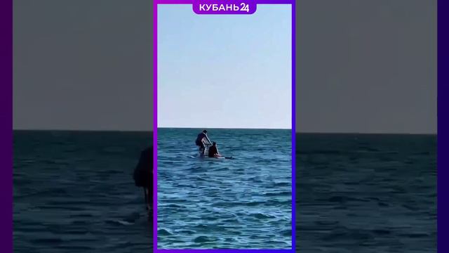 Да что вы знаете о любви? смотреть онлайн