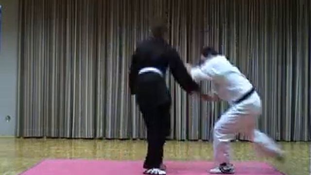 Hapkido Linz смотреть онлайн